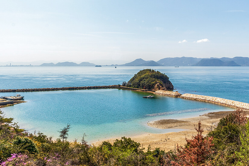 Ein Sandstrand geht in klares hellblaues Meerwasser über. Die Szene ist umrahmt von grüner Vegetation und Gewächsen in Rot- und Rosaschattierungen. Naoshima Japan Strand