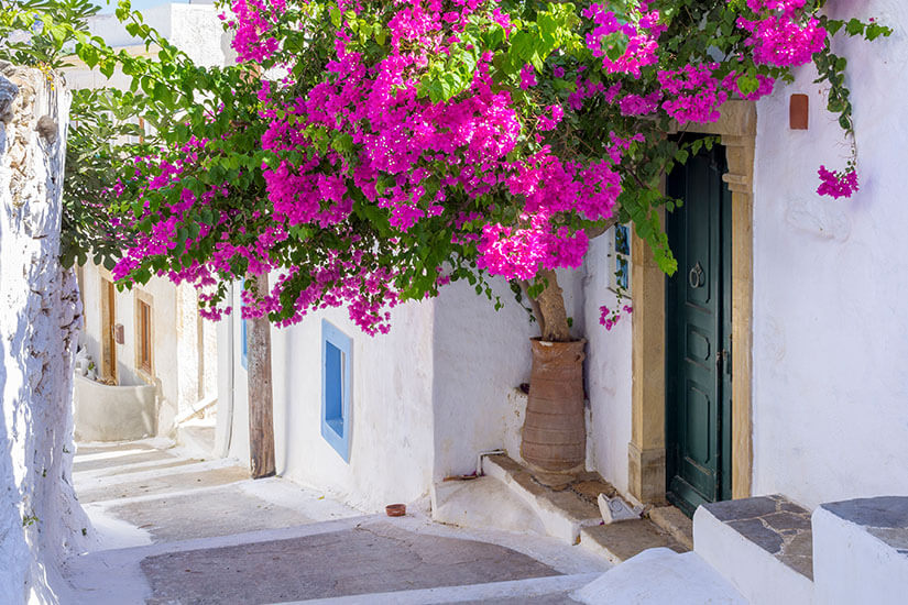 Sonnige, weiß getünchte Gasse auf Leros. Eine üppig blühende Bougainvillea in kräftigem Pink hängt über einem Hauseingang mit dunkelgrüner Tür Leros Griechenland Gasse
