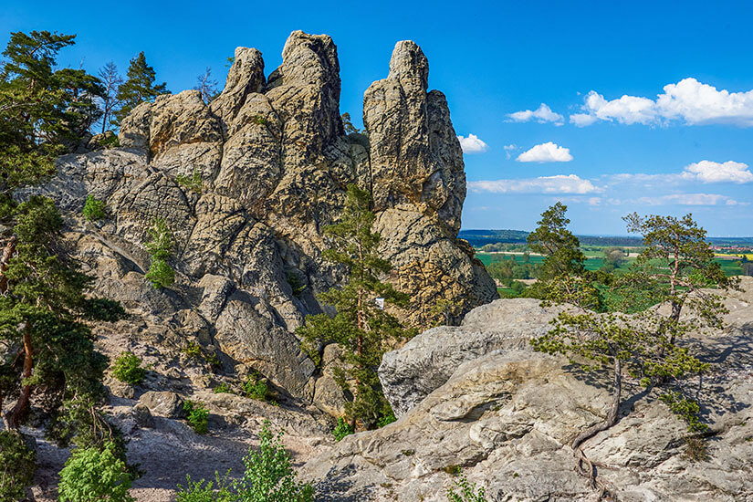 Markante, steil aufragende Felsformationen prägen die Landschaft und wirken wie natürliche Türme. Zwischen den grauen Felsen wachsen vereinzelte Kiefern und Sträucher. Im Hintergrund öffnet sich der Blick auf weite Felder unter blauem Himmel. Harz Teufelsmauer