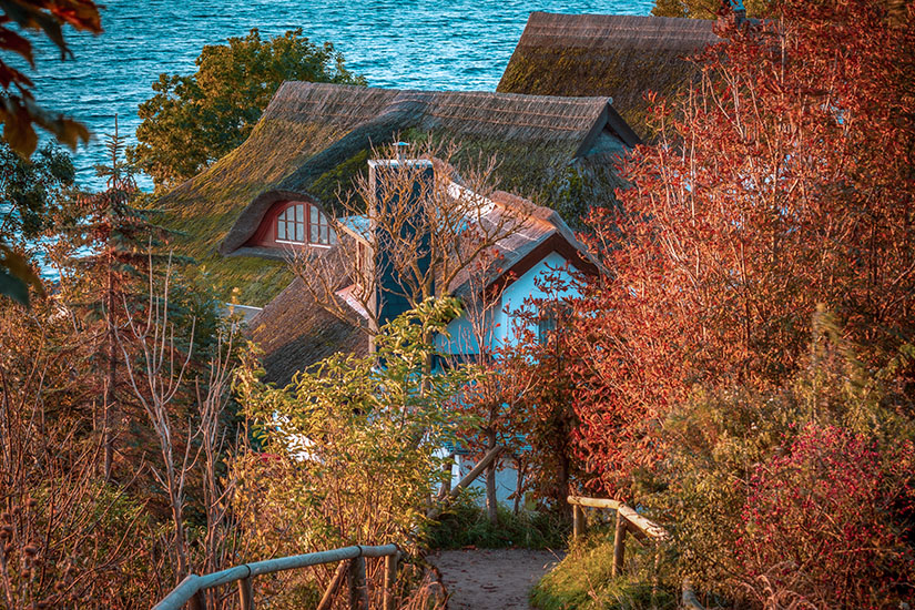 Blick von oben auf traditionelle Reetdachhäuser im Fischerdorf Vitt auf Rügen, umrahmt von herbstlich buntem Laub am Ufer der Ostsee. Geheimtipps Ostsee Vitt