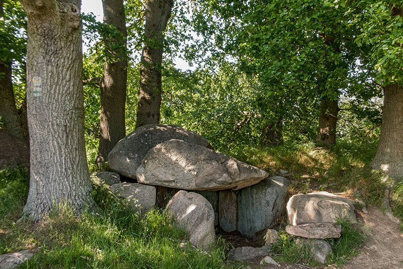 Ein prähistorisches Großsteingrab aus massiven Findlingen unter schattigen, grünen Laubbäumen auf einer Lichtung an der Ostsee. Ostsee Großsteingräber Geheimtipps Ostsee Großsteingräber