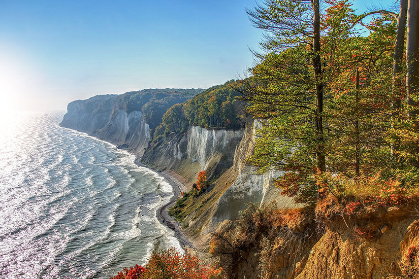 Blick von einer bewaldeten Klippe mit herbstlich bunten Blättern auf die weißen Kreidefelsen und das glitzernde blaue Meer der Ostsee. Geheimtipps Ostsee Herbst