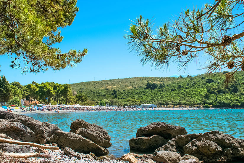 Blick vom felsigen Ufer auf das türkisfarbene, flache Wasser und einen breiten Strandabschnitt mit vielen Sonnenschirmen. Im Hintergrund ziehen sich grüne Hügel entlang der Bucht, darüber ein klarer, tiefblauer Himmel. Im Vordergrund rahmen Pinienzweige die Szene ein und geben dem Motiv eine mediterrane Note. Strände Montenegro Plavi Horizonti