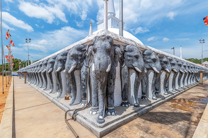 Nahaufnahme einer Mauer mit einer langen Reihe von eingemeißelten Elefantenfiguren an der Basis der weißen Ruwanwelisaya-Stupa. Anuradhapura Sri Lanka Ruwanwelisaya mit Elefanten