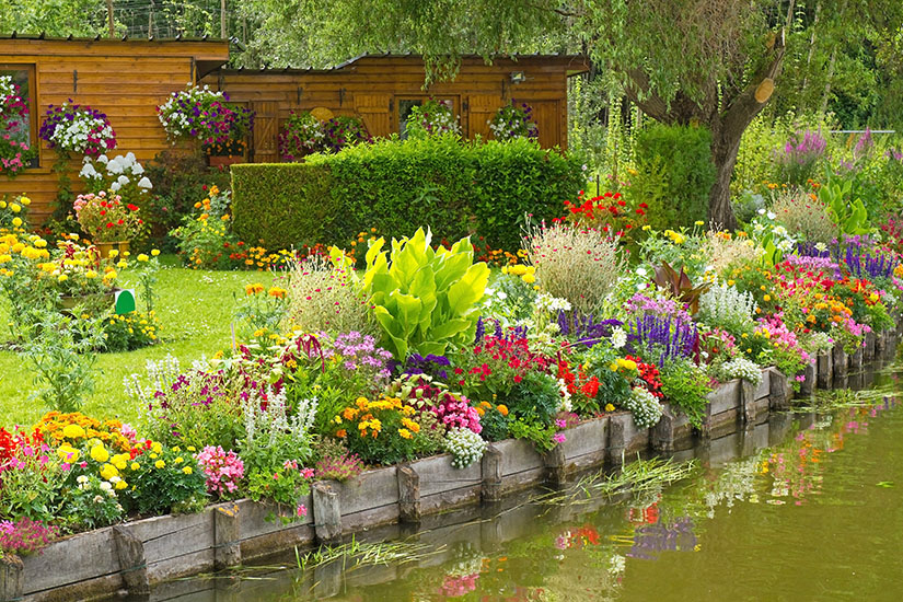 Bunte Blumen blühen am Ufer eines Wasserkanals im Amiens. Picardie Frankreich Gaerten