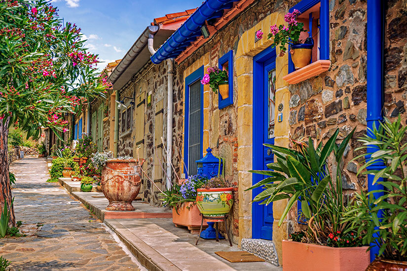 Eine malerische, schmale Gasse in Collioure mit rustikalen Natursteinhäusern, leuchtend blauen Türen und Fensterläden, zahlreichen Blumentöpfen mit Geranien und Oleander unter einem sonnigen Himmel. Collioure Frankreich Bunte Strasse