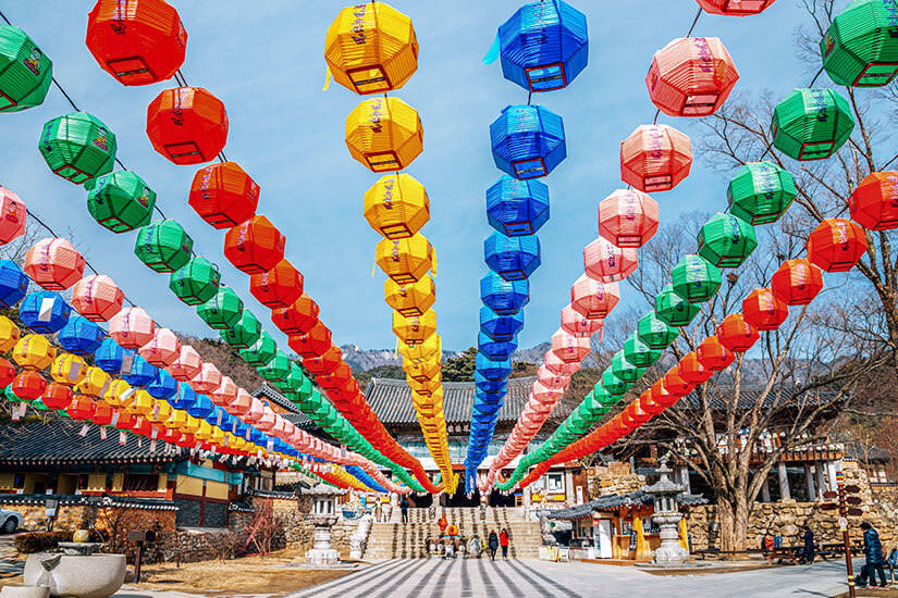 Hunderte farbige Laternen spannen sich in symmetrischen Reihen über den Innenhof einer buddhistischen Tempelanlage. Die kräftigen Farben – Rot, Gelb, Blau, Grün und Rosa – leuchten vor dem klaren Himmel. Im Hintergrund sind traditionelle Gebäude und einzelne Besucher zu erkennen. Daegu Südkorea Donghwasa
