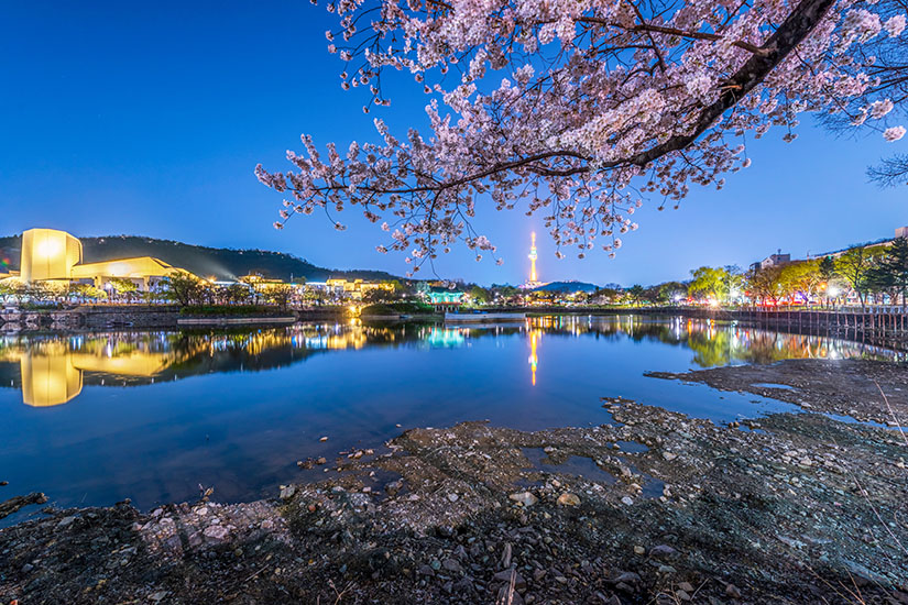 Kirschblüten rahmen den Blick auf einen ruhigen See, in dem sich die beleuchtete Stadtsilhouette und der 83 Tower spiegeln. Die blaue Stunde taucht die Szenerie in ein kühles Licht, während warme Akzente aus der Beleuchtung am Ufer hervortreten. Eine stille, fast filmische Atmosphäre. Daegu Südkorea Nachtblick