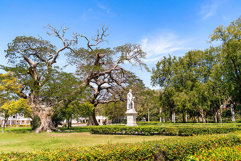Eine weitläufige Parkanlage unter strahlend blauem Himmel. Im linken Vordergrund dominiert ein imposanter, uralter Baum mit massiven, knorrigen Wurzeln und weit ausladenden Ästen, die teilweise kahl in die Luft ragen. Im Zentrum der gepflegten Rasenfläche steht eine weiße Statue von Simón Bolívar auf einem hohen Sockel. Santa Marta Kolumbien Quinta de San Pedro Alejandrino