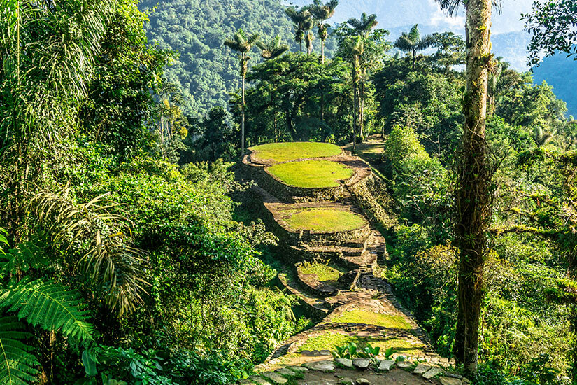 Die archäologische Stätte Ciudad Perdida in Kolumbien aus einer hohen Perspektive. Drei kreisförmige, grüne Steinterrassen stufen sich an einem bewaldeten Berghang hinab. Sie sind von dichtem, smaragdgrünem Regenwald und hohen Palmen umgeben. Santa Marta Kolumbien Ciudad Perdida