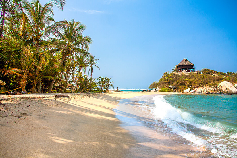 Der tropische Strand Cabo San Juan de Guía unter einem strahlend blauen Himmel. Ein breiter Streifen aus hellem, feinem Sand erstreckt sich im Vordergrund, gesäumt von einer dichten Reihe hoher Kokospalmen auf der linken Seite. Santa Marta Kolumbien Cabo San Juan
