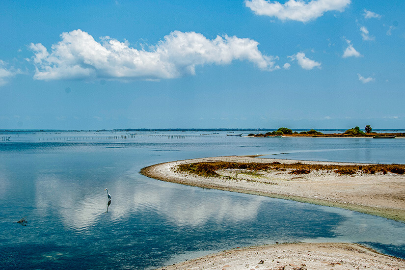 Idyllisch: Ein Reiher steht reglos im spiegelglatten Wasser einer flachen Lagune, während sich eine geschwungene Sandbank durch das seichte Türkis zieht und Wolken sich perfekt auf der stillen Oberfläche spiegeln. Jaffna Sri Lanka Delft