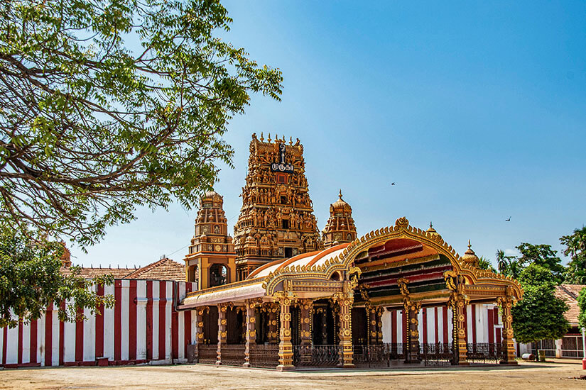 Der prächtige Hindu-Tempel im dravidischen Stil mit kunstvoll geschnitztem Gopuram-Turm, goldenem Eingangspavillon und den charakteristischen rot-weiß gestreiften Mauern unter strahlend blauem Himmel. Nallur Kandaswamy Tempel