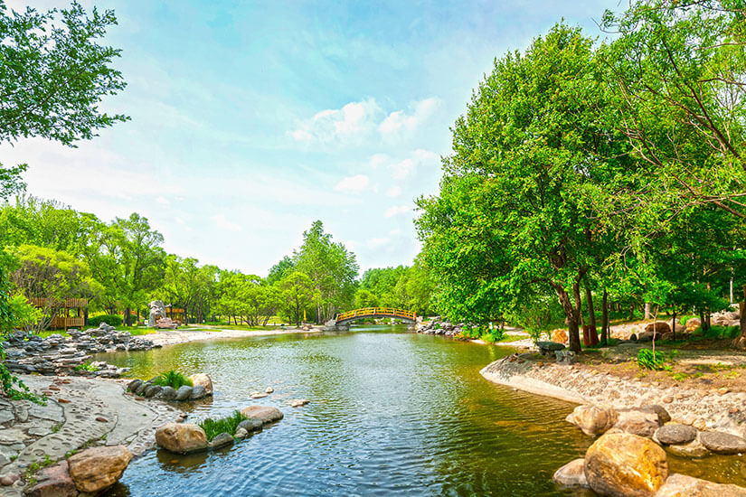 Ein ruhiger Park mit einem Teich liegt zwischen vielen grünen Bäumen. Über das Wasser führt eine kleine, gebogene Brücke in leuchtender Farbe. Am Ufer liegen Steine und Wege, die durch die gepflegte Anlage führen. Harbin Fruehling