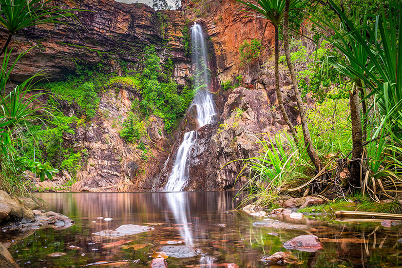 Ein schmaler Wasserfall ergießt sich über rostfarbene Felswände in ein ruhiges, von tropischer Vegetation gesäumtes Becken. Solche versteckten Wasserfälle sind typisch für die Nationalparks im Northern Territory, etwa den Litchfield Nationalpark. Die Mischung aus tropischem Grün und rotem Gestein macht diese Naturparks Australiens so einzigartig. Nationalparks Australien Litchfield National Park