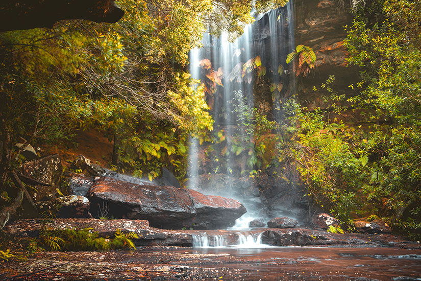 Ein zarter Wasserfall fällt über eine moosbedeckte Felskante in ein ruhiges Becken, umgeben von herbstlich gefärbtem Laubwerk. Diese atmosphärische Szenerie ist typisch für die Nationalparks in den Blue Mountains oder der Grampians-Region. Die Naturparks Australiens bieten solch stille, malerische Orte abseits der bekannten Touristenpfade. Nationalparks Australien Royal National Park