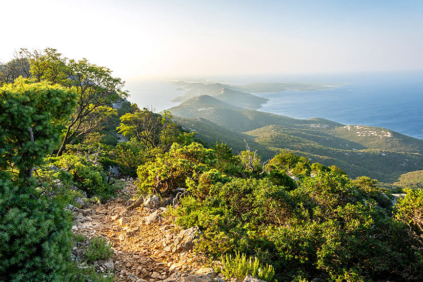 Ein steiniger Wanderpfad führt durch eine hügelige, grüne Landschaft mit Sträuchern und Bäumen. Von oben eröffnet sich ein weiter Blick auf die Küste und mehrere ins Meer ragende Landzungen. Losinj Wandern