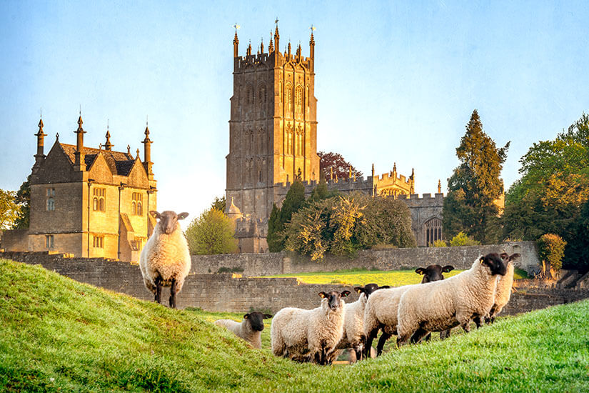 Eine Herde Schafe auf einer grünen Wiese vor der historischen St. James Church und dem East Banqueting House in Chipping Campden, Cotswolds, bei goldenem Sonnenlicht. Cotswolds England Chipping Campden