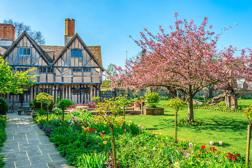 Ein gepflasterter Weg führt durch den blühenden Frühlingsgarten von Hall's Croft in Stratford-upon-Avon, mit bunten Tulpen und einem rosa Kirschblütenbaum vor einem historischen Fachwerkhaus. Cotswolds England Stratford upon Avon