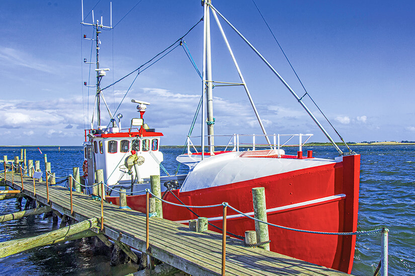 Blick auf den kleinen, idyllischen Naturhafen Lagör auf einer grünen Landzunge, mit kleinen Booten im ruhigen Wasser, umgeben von Schilf und niedrigen, bunten Gebäuden unter klarem, blauem Himmel. Samsoe Daenemark Lagoer