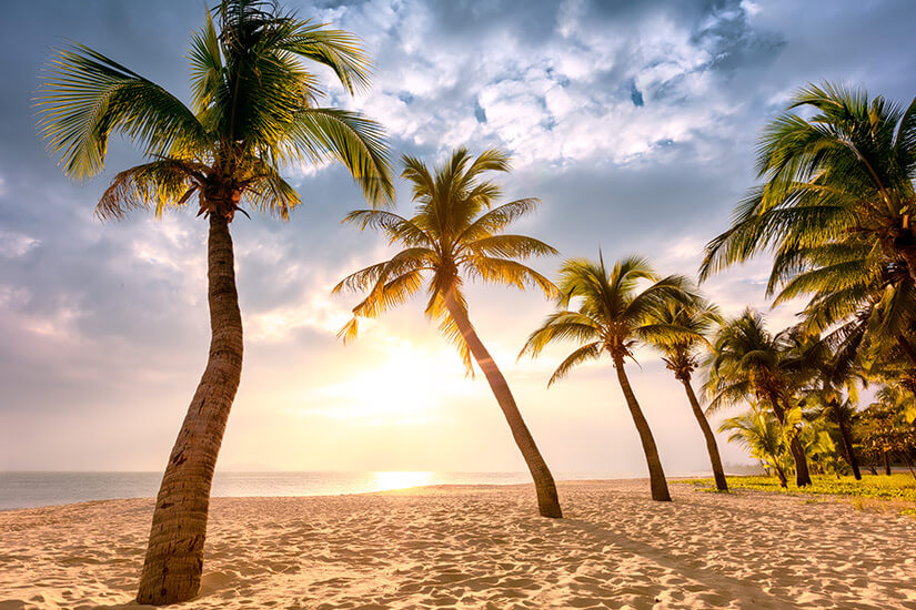 Schlanke Kokospalmen säumen einen menschenleeren, weißen Sandstrand, während die tiefstehende Sonne dramatisch durch ihre Wedel bricht und den Himmel in warmes Gold taucht. Luxus Reiseziele Hawaii