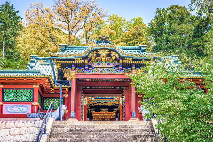 Ein reich verzierter Tempel mit farbenfrohen Ornamenten und goldenen Details steht am oberen Ende einer Treppe. Die Architektur zeigt aufwendig geschnitzte Elemente und leuchtende Farben wie Rot, Grün und Blau. Umgeben ist das Bauwerk von üppiger Vegetation und hohen Bäumen. Shizuoka Kunoza Toshogu