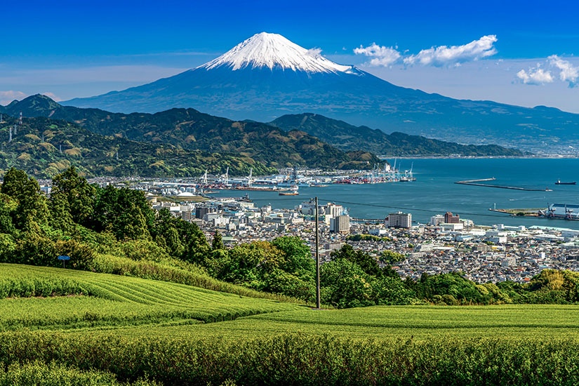 Grüne, gepflegte Felder ziehen sich im Vordergrund über sanfte Hügel. Dahinter liegt eine Stadt mit Hafen am Meer, umgeben von bewaldeten Bergen. Über allem erhebt sich ein markanter, schneebedeckter Vulkan unter blauem Himmel. Shizuoka Nihondaira