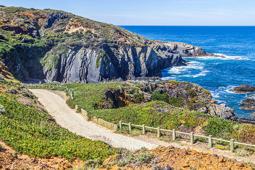 Ein Weg mit hellem Kies führt durch eine grüne Küstenlandschaft. Ein niedriger Holzzaun säumt ihn. Fischerweg Portugal Almograve