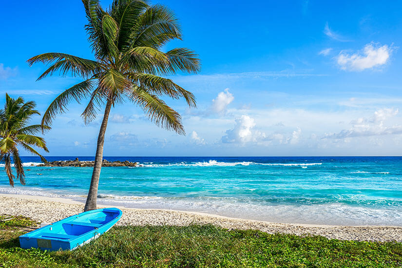 Ein hellblaues Fischerboot liegt im Gras vor einer Palme an einem Strand mit hellem Sand, während im Hintergrund das türkisfarbene Meer mit leichten Wellen an Felsen brandet. Cozumel Mexiko Playa Chen Rio