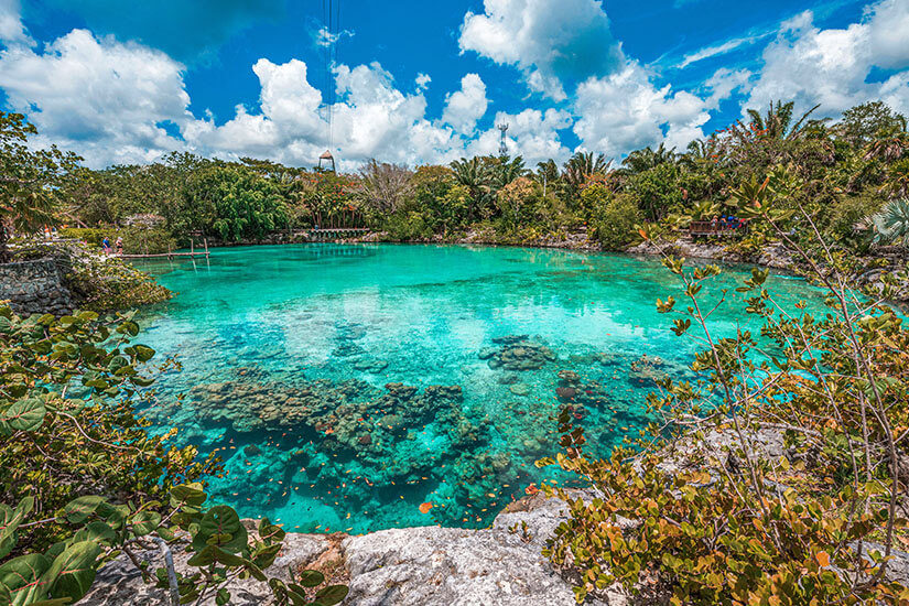 Ein kristallklarer, leuchtend türkisfarbener Naturpool ist von Kalksteinfelsen und üppigem grünem Dschungel umgeben, wobei die Felsformationen unter der Wasseroberfläche deutlich sichtbar sind. Cozumel Mexiko Cenote