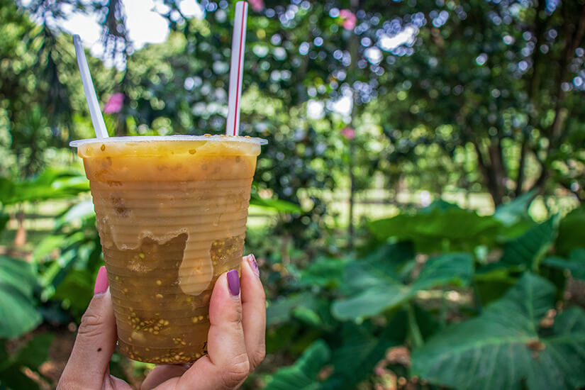 Das üppige grüne Blattwerk im Hintergrund unterstreicht die tropische Atmosphäre und macht dieses Erfrischungsgetränk zum perfekten Begleiter für einen heißen Tag. Kolumbianisches Essen Lulo