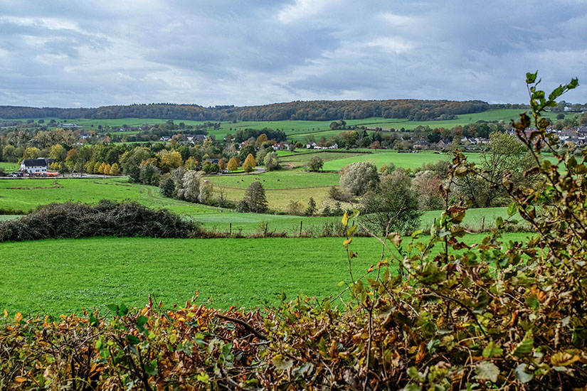 Das grüne Geultal ist zu sehen, mit verschiedenen Bäumen und Häusern, die einem auf dem Weg begegnen. Valkenburg Niederlande Geultal