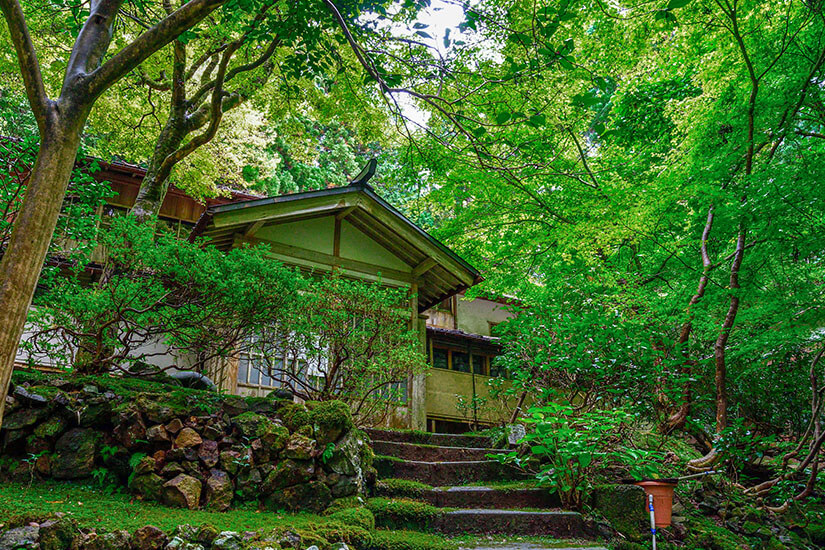 Steinstufen führen hinauf zu einem traditionellen japanischen Gebäude mit Holzfassade, das in einen dichten, leuchtend grünen Wald eingebettet ist. Niigata Japan Onsen