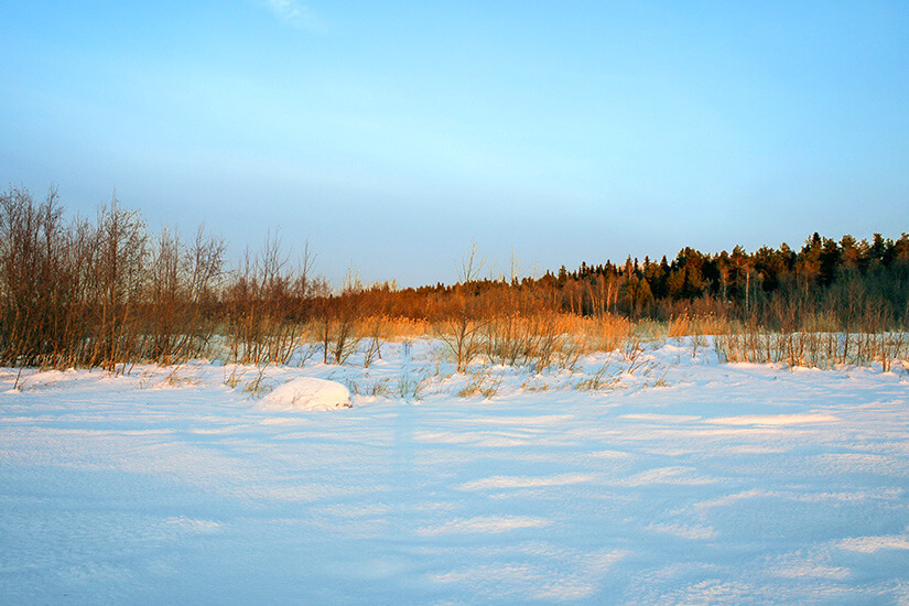 Eine weite, tief verschneite Küstenlandschaft im Nationalpark Bottenwiek bei tiefstehender Sonne, mit kahlen Sträuchern und Schilf im Mittelgrund sowie einem dunklen Nadelwald am Horizont unter einem klaren, hellblauen Himmel. Nationalparks Finnland Bottenwiek