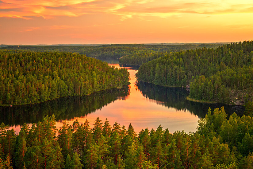 Ein weitläufiger, gewundener See liegt eingebettet in dichte, grüne Nadelwälder, während das ruhige Wasser das intensive Orange und Gelb des flammenden Sonnenuntergangs am bewölkten Himmel widerspiegelt. Nationalparks Finnland Repovesi