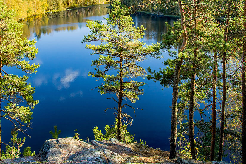 Blick von einer felsigen Anhöhe durch hohe Nadelbäume auf einen tiefblauen See, in dessen klarer Oberfläche sich weiße Wolken unter einem sonnigen Himmel spiegeln. Finnland Nuuksio Nationalparks Finnland Nuuksio