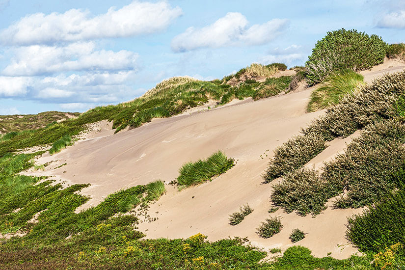 Die Noordduinen nördlich von Katwijk aan Zee beeindrucken mit ihren markanten Sandhängen und dem typischen Dünengras, das im Wind sanft hin- und herwiegt. Das weitläufige Naturschutzgebiet zählt zu den schönsten Sehenswürdigkeiten der Umgebung und bietet ausgedehnte Wandermöglichkeiten durch eine abwechslungsreiche Küstenlandschaft. Wer die Noordduinen erkundet, entdeckt einen echten Geheimtipp in den Niederlanden. Katwijk aan Zee Niederlande Noordduinen
