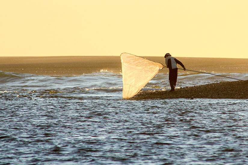 Die Silhouette eines einsamen Fischers mit einem großen Dreiecksnetz ist gegen das warme Goldlicht eines Sonnenuntergangs abgezeichnet, während er auf einer schmalen Sandbank zwischen den Wellen steht. Neuseeland Essen Fischer