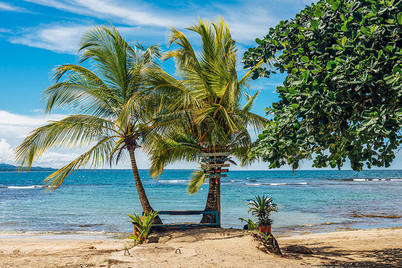 Eine im Wind wehende Kokospalme rahmt einen bunten Wegweiser mit mehreren Richtungsschildern an einem karibischen Sandstrand ein, während ein großer Laubbaum und das türkisblaue Meer die idyllische Szenerie vervollständigen. Puerto Viejo de Talamanca Playa