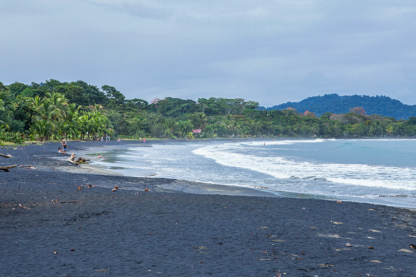 Der weitläufige Strand mit charakteristischem schwarzem Vulkansand erstreckt sich geschwungen entlang einer üppig bewaldeten Küstenlinie, während vereinzelte Besucher an der Wasserkante spazieren und sanfte Wellen ans Ufer rollen. Puerto Viejo de Talamanca Negra