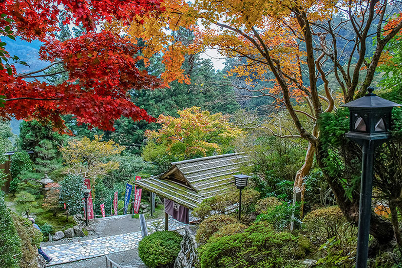 In leuchtenden Herbstfarben präsentiert sich dieser traditionelle Tempel in den Bergen Kōchis. Das Spiel aus rotem und goldenem Laub vor dem reetgedeckten Dach schafft eine zauberhafte japanische Atmosphäre. Die Region ist Teil des berühmten 88-Tempel-Pilgerwegs auf Shikoku und zieht Besucher aus aller Welt an. Kochi Japan Tempel