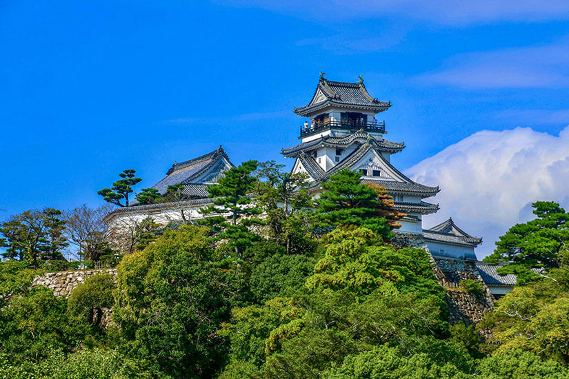 Die Burg Kōchi gehört zu den wenigen original erhaltenen Burgen Japans und thront majestätisch über der Stadt. Erbaut im 17. Jahrhundert, beeindruckt sie mit ihrem markanten Hauptturm und der historischen Architektur inmitten üppigen Grüns. Die Burganlage zählt zu den bedeutendsten Sehenswürdigkeiten der Region und gewährt Einblicke in die Samurai-Zeit. Kochi Japan Burg