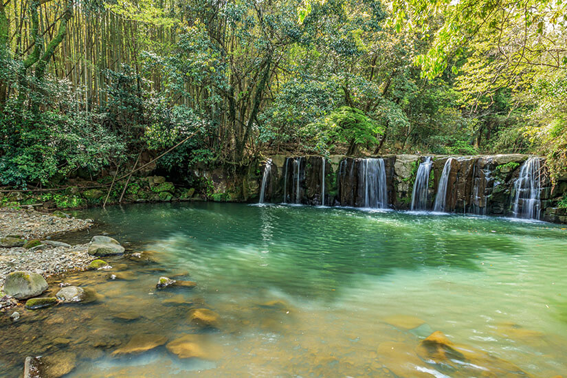 Der wunderschöne Nabegataki-Wasserfall fließt wie ein zarter Vorhang über eine breite Felskante in einen smaragdgrünen Pool, umgeben von dichtem, frühlingshaftem Bambuswald. Das kristallklare Wasser und die üppige Vegetation schaffen eine fast märchenhafte Atmosphäre. Dieser versteckte Naturschatz ist eines der fotogensten Highlights, die man in Kumamoto Japan erleben kann. Kumamoto Japan Wasserfall