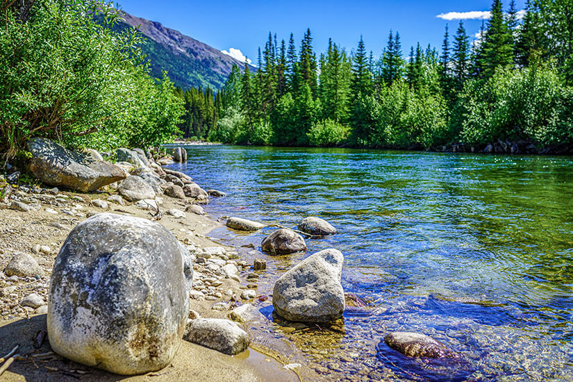Ein klarer Fluss fließt durch eine naturbelassene Landschaft mit vielen Steinen am Ufer. Dichte Nadelbäume und grüne Büsche säumen das Wasser, während im Hintergrund Berge aufragen. Yukon River