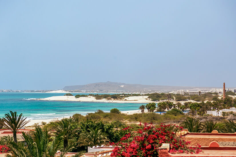 Ein Panoramablick über die Küste von Boa Vista mit türkisblauem Wasser, hellen Sandstränden und Dünen, gesäumt von Palmen und blühenden roten Blumen im Vordergrund unter einem klaren Himmel. Boa Vista oder Sal Willkommen