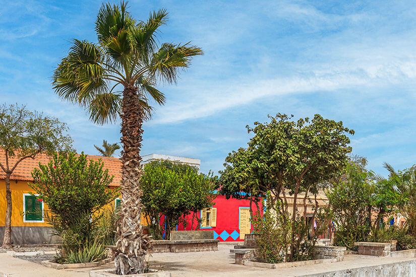 Ein sonniger Platz in Sal Rei mit einer markanten Palme im Vordergrund, umgeben von Bäumen und bunt bemalten Häusern in kräftigem Gelb und Rot unter einem leicht bewölkten blauen Himmel. Boa Vista oder Sal Strassen von Sal Rei