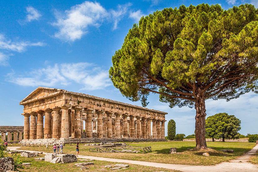 Ein großer antiker Tempel mit mächtigen Steinsäulen steht auf einer weitläufigen archäologischen Anlage. Daneben ragt eine breite Pinie mit dichter grüner Krone in den Himmel. Einige Menschen spazieren zwischen den Ruinen. Antike Stadt Paestum