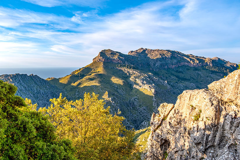 Ein weiter Blick auf die felsigen, von der Sonne angestrahlten Berghänge der Serra de Tramuntana in Mallorca mit grünen Bäumen und Sträuchern im Vordergrund unter einem leicht bewölkten blauen Himmel. oder Mallorca Serra de Tramuntana Menorca oder Mallorca Serra de Tramuntana