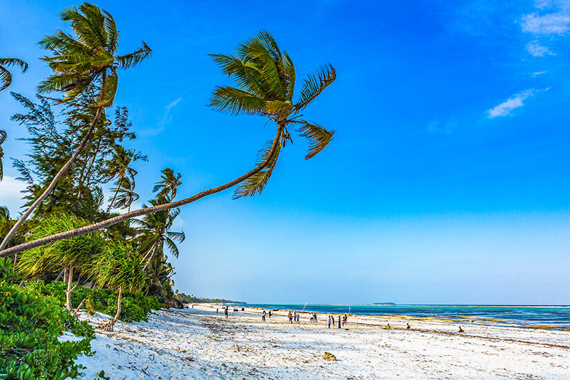 Matemwe liegt im Nordosten Sansibars und gilt als ruhiger Geheimtipp mit Blick Richtung Mnemba-Atoll. Hohe, geneigte Kokospalmen prägen das Bild des weißen Sandstrandes. Vereinzelte Strandgänger genießen die Weite des türkisen Meeres unter strahlend blauem Himmel. Sansibar Strände Matemwe Beach