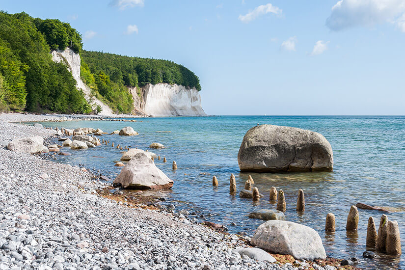 Am steinigen Strand mit großen Findlingen und alten Holzbuhnen im türkisfarbenen Ostseewasser erheben sich die berühmten weißen Kreidefelsen, bewachsen mit grünen Buchenwäldern. Wochenendtrip Ruegen